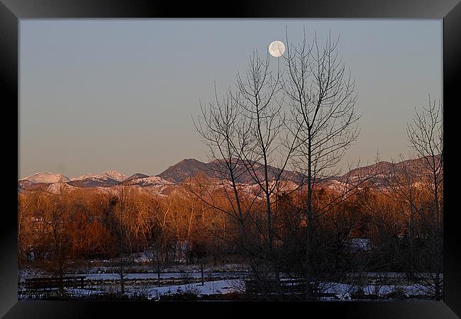 Tickeling The Moon Framed Print by Kat Dennis