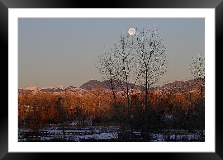 Tickeling The Moon Framed Mounted Print by Kat Dennis