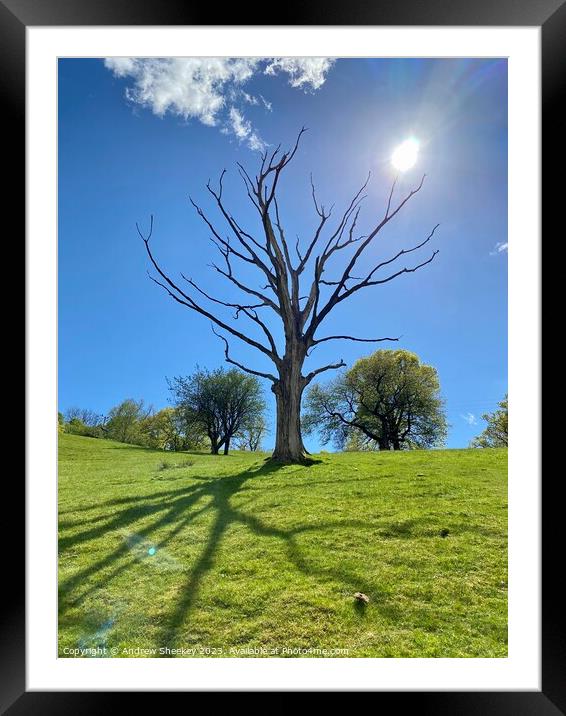 Lightening struck  Framed Mounted Print by Andrew Sheekey