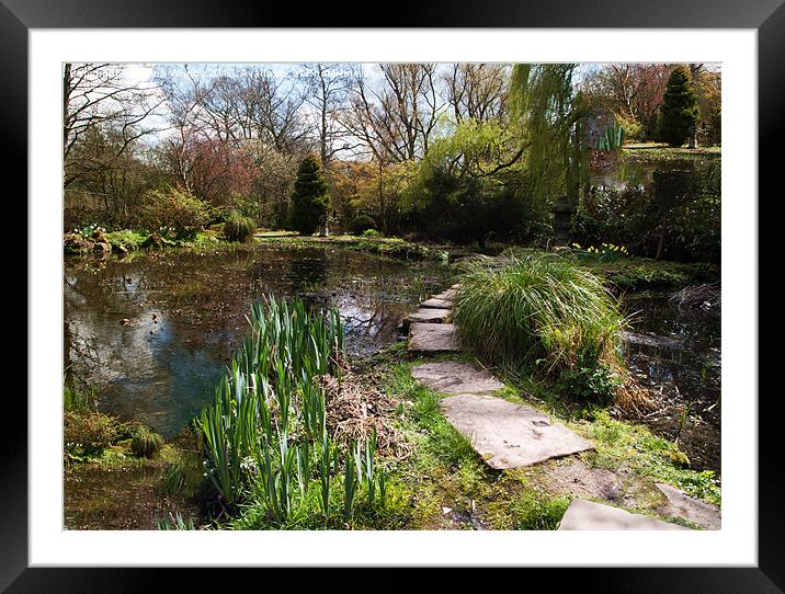 Japanese Gardens Newstead Abbey Framed Mounted Print by Elaine Whitby