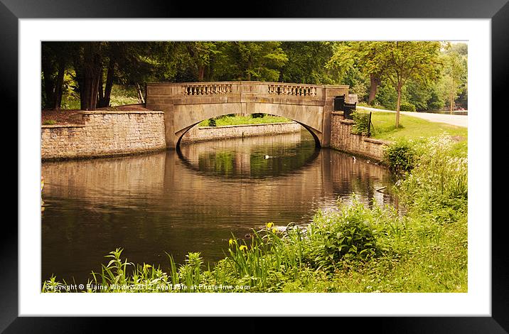 Reflections of the Bridge Framed Mounted Print by Elaine Whitby