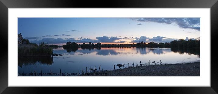 Attenborough Nature Reserve Framed Mounted Print by Elaine Whitby
