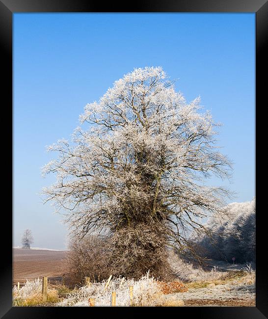 Large  and Small Framed Print by Elaine Whitby