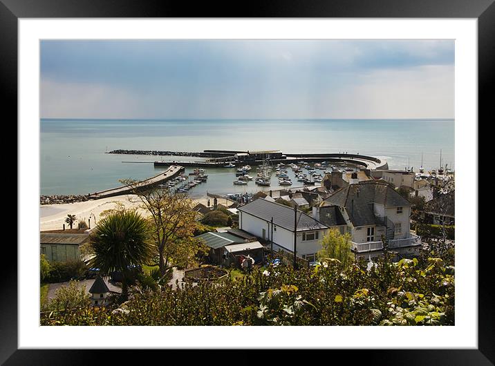 Looking over LYME REGIS BAY DORSET Framed Mounted Print by Elaine Whitby