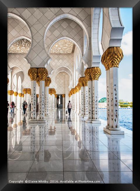 Golden Mosque at Abu Dhabi  Framed Print by Elaine Whitby