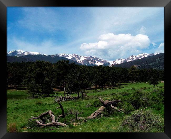 Colorado Rocky Mountain High Framed Print by Tammy Winand