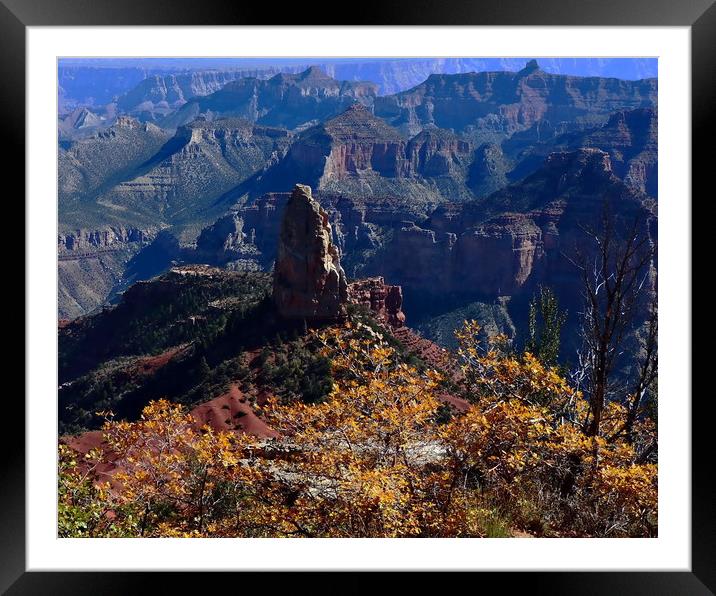 Point Imperial Grand Canyon North Rim Autumn  Framed Mounted Print by Tammy Winand
