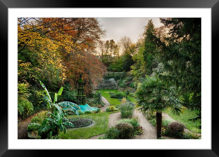 Autumn Splendor at the Plantation Gardens Framed Mounted Print by Rus Ki