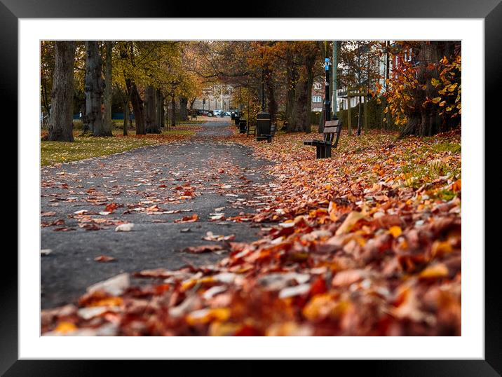 Tranquility in Autumn Framed Mounted Print by Rus Ki