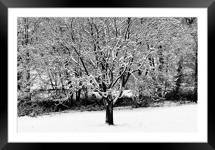 Snowy Tree by the River Framed Mounted Print by John Miller