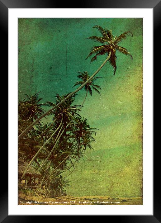Tropical Vestige Framed Mounted Print by Andrew Paranavitana