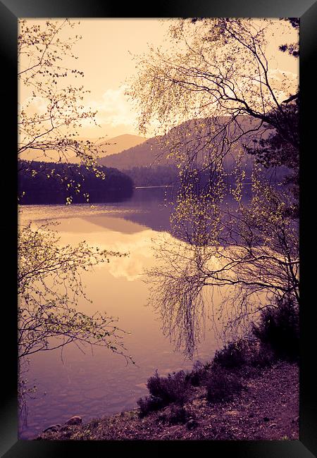 Romantic Scotland Framed Print by Dorit Fuhg
