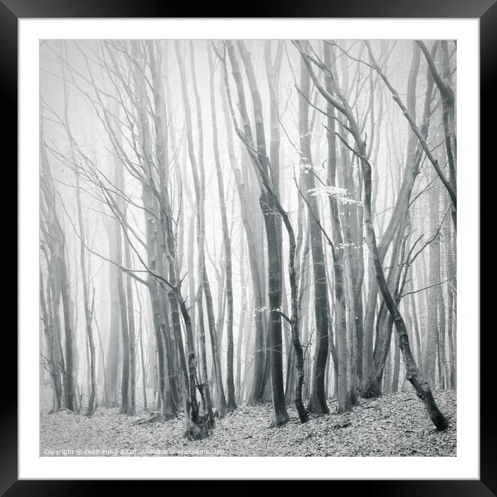 Fog in the Forest II Framed Mounted Print by Dorit Fuhg