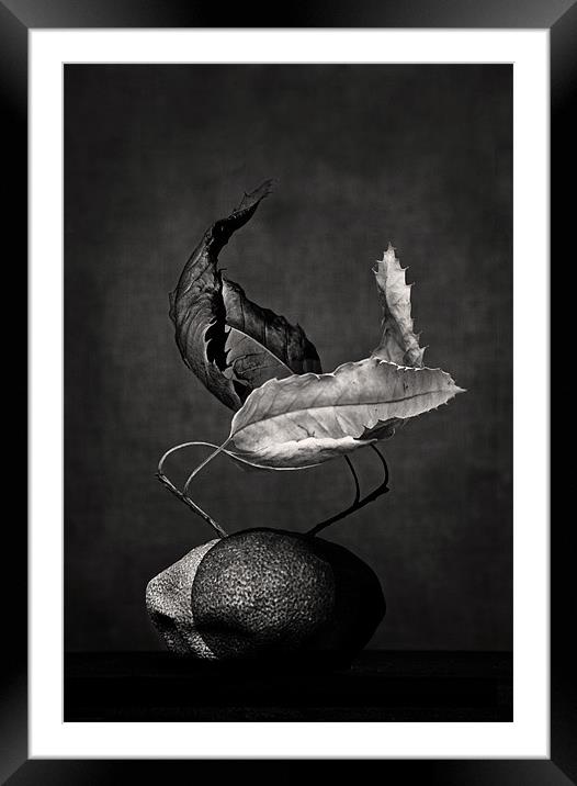 el tango Framed Mounted Print by Dorit Fuhg