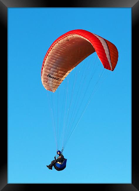 Paragliding over Dunstable Downs Framed Print by Richard Thomas