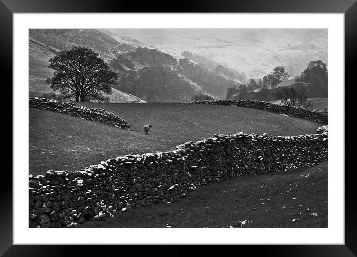 Snow in the Dales Framed Mounted Print by Richard Thomas