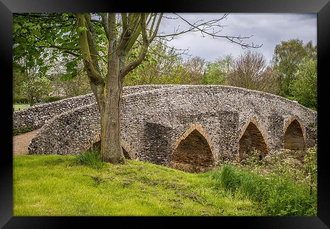 Moulton Packhorse Bridge Framed Print by Richard Thomas