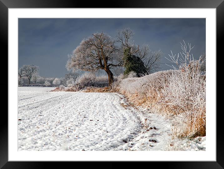 Winter Hedgerow Framed Mounted Print by Richard Thomas