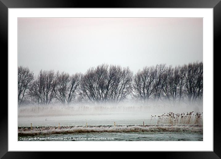 misty trees at nene washes Framed Mounted Print by Elouera Photography