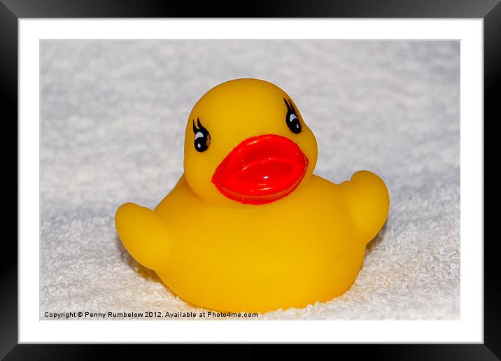 rubber duck Framed Mounted Print by Elouera Photography