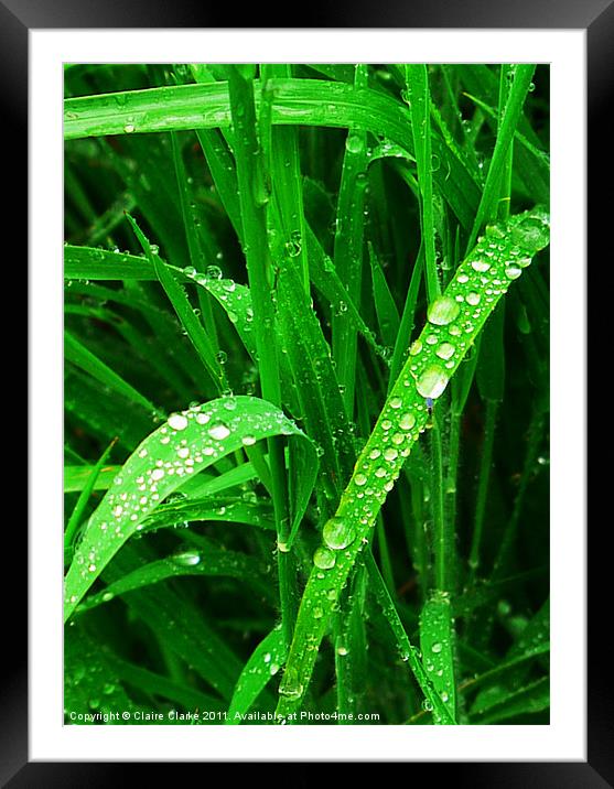 Droplets Framed Mounted Print by Claire Clarke