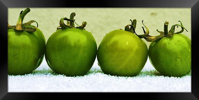 Toned Tomatoes Framed Print by Claire Clarke
