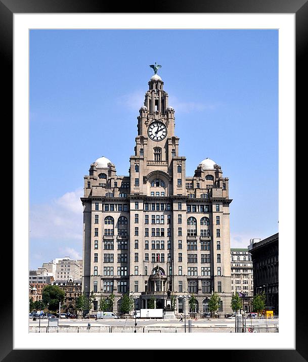 Liver Building Framed Mounted Print by Jenny Challinor