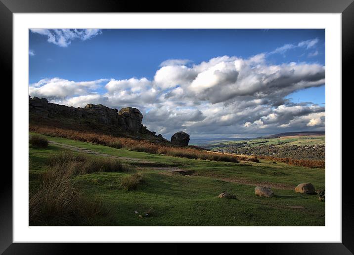 ilkley. moor .cow. and. calf. rocks. west.. yorksh Framed Mounted Print by simon sugden