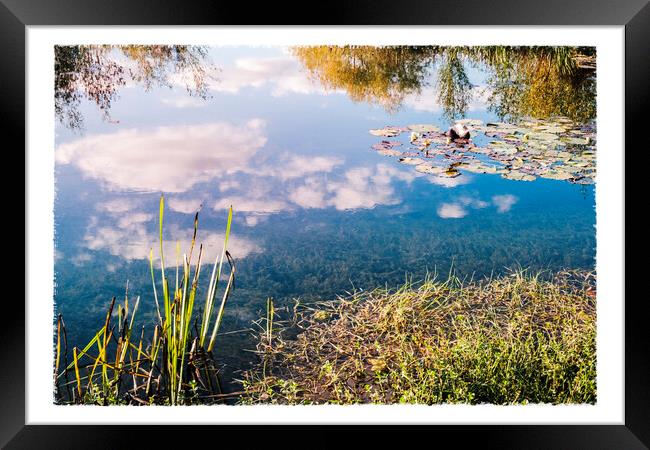 Iremongers Pond #1 Framed Print by Martyn Williams