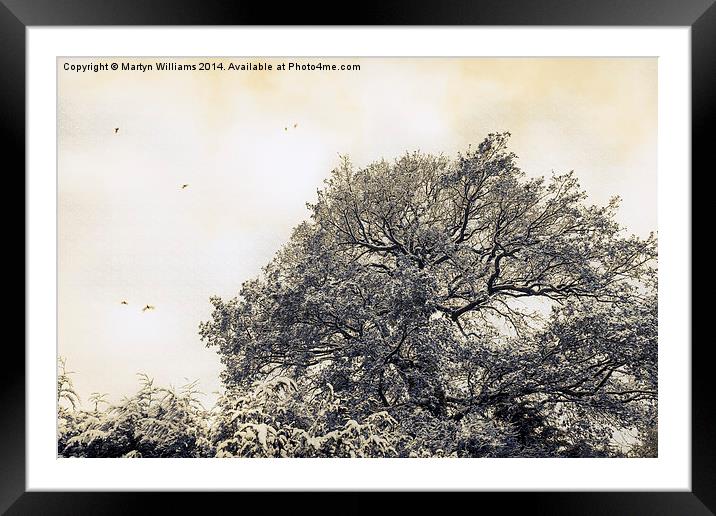 Tree In Winter Framed Mounted Print by Martyn Williams