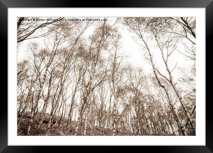 Suprise View Trees Framed Mounted Print by Martyn Williams
