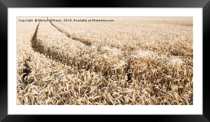 Wheat Field Framed Mounted Print by Martyn Williams