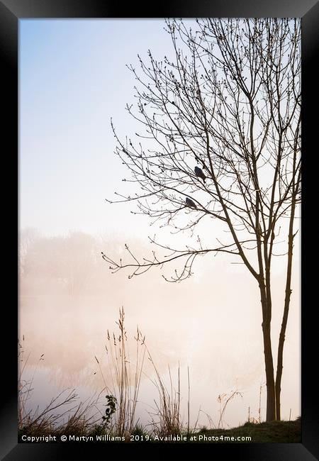 Two Birds, Misty Morning Framed Print by Martyn Williams