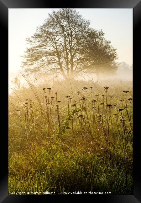 Misty Sunrise Framed Print by Martyn Williams