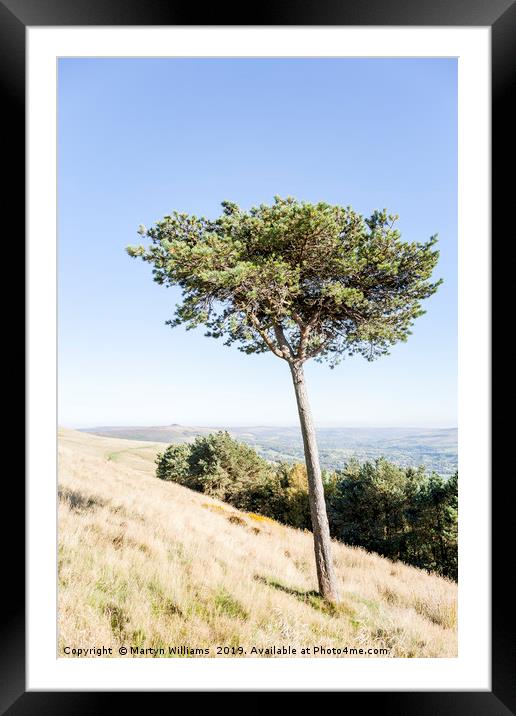 Tree, Back Tor Framed Mounted Print by Martyn Williams