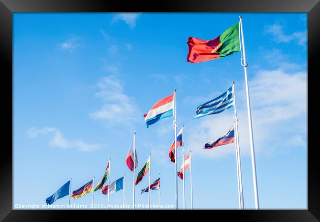 Flags Of European Union Countries Framed Print by Martyn Williams