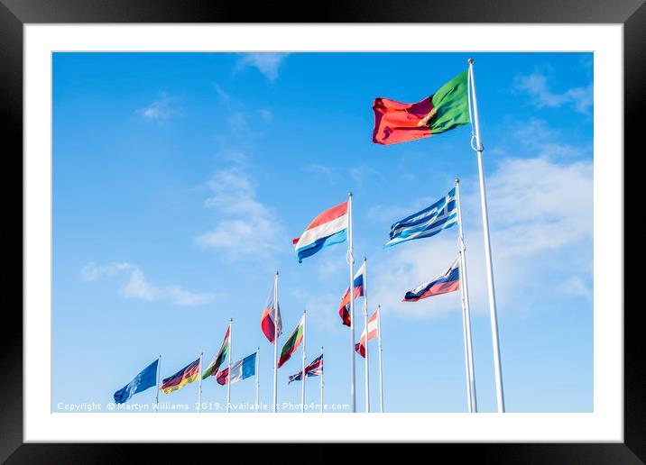 Flags Of European Union Countries Framed Mounted Print by Martyn Williams