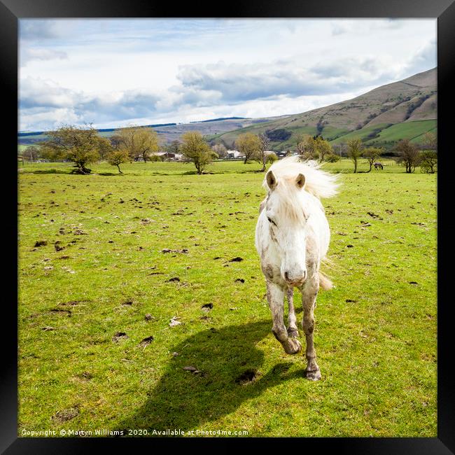 Running Horse, Peak District Framed Print by Martyn Williams