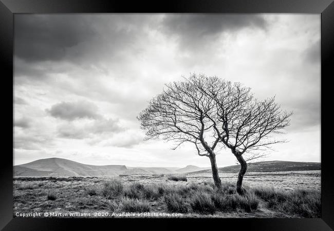 Two Trees, Crookstone Out Moor, Derbyshire Framed Print by Martyn Williams