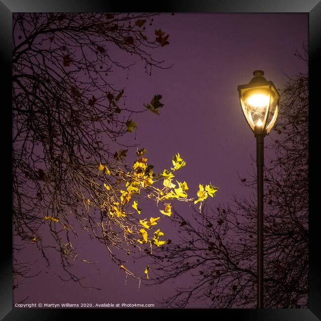 Autumn Trees At Night Framed Print by Martyn Williams