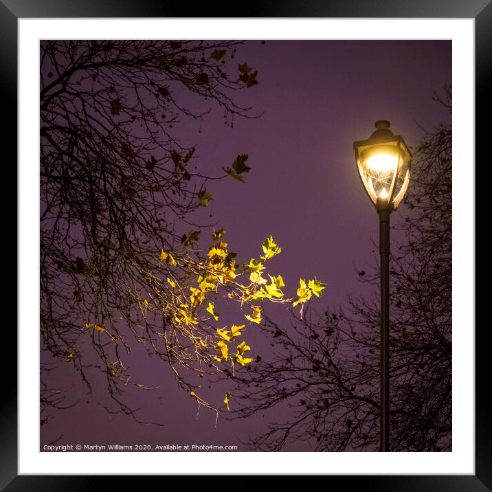 Autumn Trees At Night Framed Mounted Print by Martyn Williams