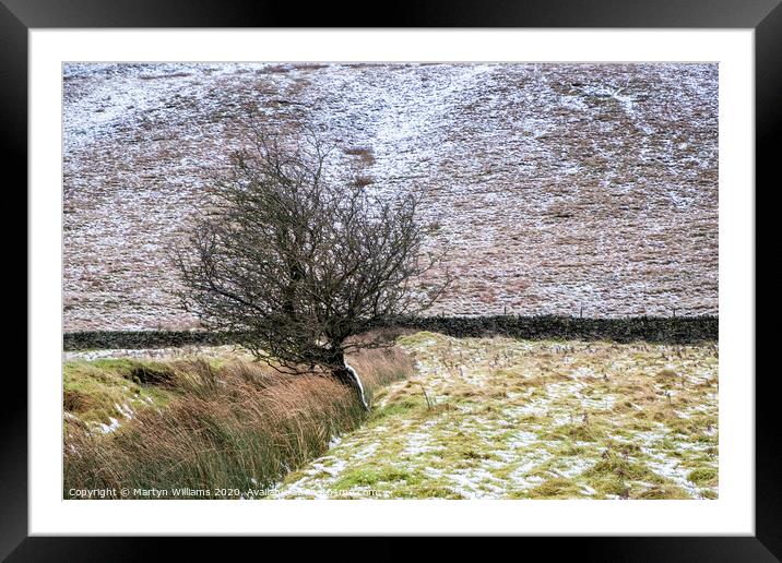 Tree, Vale of Edale, Derbyshire Framed Mounted Print by Martyn Williams