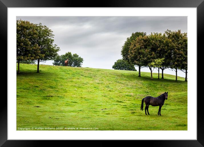 Two Horses, Derbyshire Framed Mounted Print by Martyn Williams