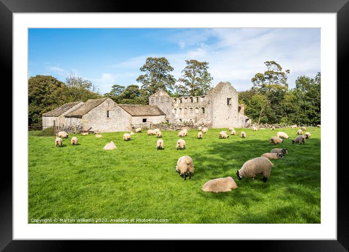 Sheep Grazing, Castleton Framed Mounted Print by Martyn Williams