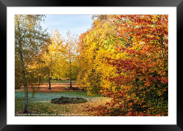 Autumn Trees, Nottingham Framed Mounted Print by Martyn Williams