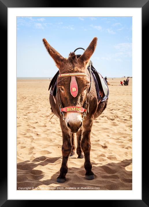 Donkey On The Beach Framed Mounted Print by Martyn Williams