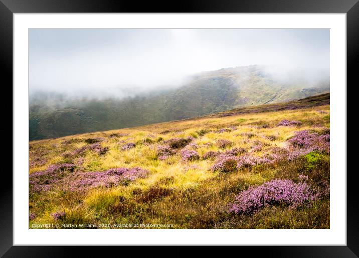 Moorland Heather, Kinder Scout Framed Mounted Print by Martyn Williams