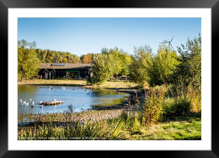 Rushcliffe Country Park, Nottinghamshire Framed Mounted Print by Martyn Williams