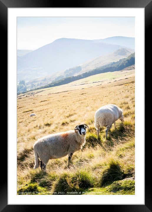 Peak District Sheep Framed Mounted Print by Martyn Williams