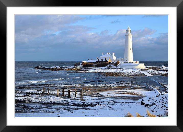 St Mary's Lighthouse and Posts, Winter Framed Mounted Print by Michael Oakes